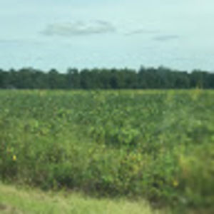 Meet your Posher, Ruth